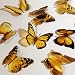 Butterfly 3D Translucent Decoration 12 YELLOW Butterflies
