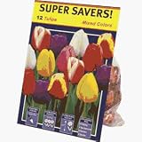 TotalGreen 72415300 Tulip Bulbs Reviews 61UtGNHbhFL. SL160 TotalGreen 72415300 Tulip Bulbs Reviews