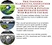 The Insider's Marketing, Godfather Principles and Accounting & Finance for Pendant Lights Web Biz 3 CD Course