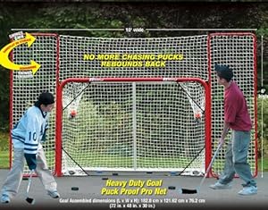 Hockey Goal & Backstop - EZ Goal