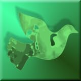 Wise Proverbs Daily ~ RobotiCode Ltd