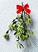 ALLO Botanicals Mistletoe - 1 Small Bundle - 5 to 7 Inches - Fresh, Real, All Natural