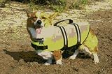 Paws Aboard XL Yellow Dog Life Jackets Over 90 LB