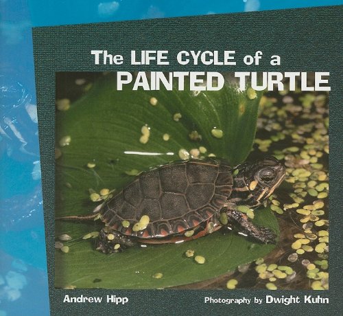 The Life Cycle of a Painted Turtle (Life Cycles)