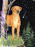 UPC 705332053235 product image for Starry Night Rhodesian Ridgeback Flag Garden Size from Caroline's Treasures | upcitemdb.com
