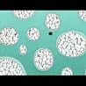 Video for "Sing Sang Sung" from the album "Love 2"
