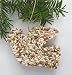 Bird Seed Christmas Dove Ornament, Party Favor, Gift and Decoration