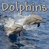 Eigenschaften Avonside Publishing Ltd.  / Kalender 2009 Delfine - Dolphins - Delphine - Flipper