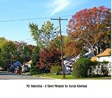 My Suburbia