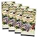 Home Essentials DII 100% Cotton, Machine Washable, Everyday Basic Dishtowel, Printed, Decorative, 15 x 26 Set of 4- Vineyard