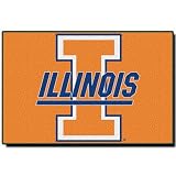 Northwest Illinois Fightin Illini Tufted 20x30 Rug