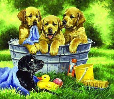 Squeaky Clean 200pc Childrens Jigsaw Puzzle by Linda Picken