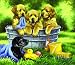 Squeaky Clean 200pc Childrens Jigsaw Puzzle by Linda Picken