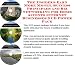 The Insider's Earn More Money, Success Principles and Biz Networking for Home Accents Internet Businesses 3 CD Power Pack