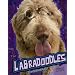 Labradoodles (Edge Books)