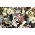 薄桜鬼 桜の宴 2012 [DVD]