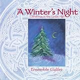 A Winters Night; Christmas in the Great Hall