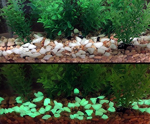 8oz Medium Size Green Glow in the Dark Rubble for Aquariums or Fish Tanks