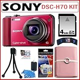 Sony Cyber-Shot DSC-H70 16.1 MP Digital Camera with 10x Wide-Angle Optical  ....