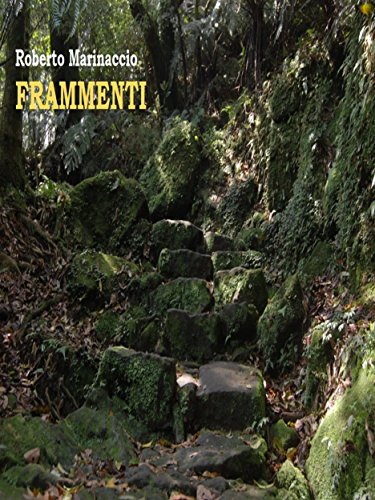 Frammenti (Italian Edition)