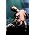 Thumbnail image of Rufus Wainwright