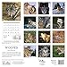 Wolves Wall Calendar 2015