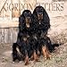 Gordon Setters 2001 Calendar