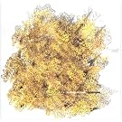 Bloodbuzz Ohio [Vinyl Single]