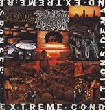 Extreme Conditions Demand Extreme Responses [Vinyl]