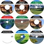 The Comprehensive Nine CD Nothing Down, Motivated Seller, Real Estate Mentoring System book cover