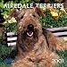 Airedale Terriers 2001 Calendar