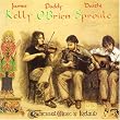 Traditional Irish Music