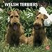 Welsh Terriers 2012 Square 12X12 Wall Calendar
