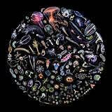 Racing Extinction (Original Motion Picture Soundtrack)