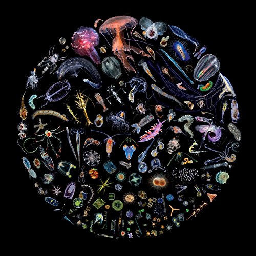 Racing Extinction (Original Motion Picture Soundtrack) J. Ralph