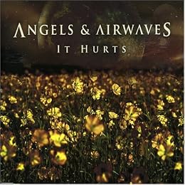 Angels and Airwaves Picture 4