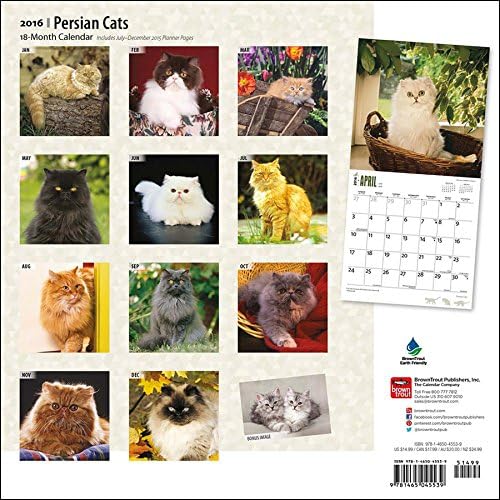 Persian Cats 2016 Wall Calendar (12x12)