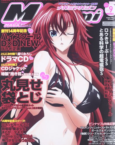 Megami MAGAZINE (メガミマガジン) 2013年 09月号 [雑誌]