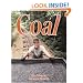 Coal (Rocks, Minerals, and Resources)
