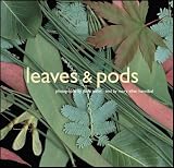 Leaves and Pods