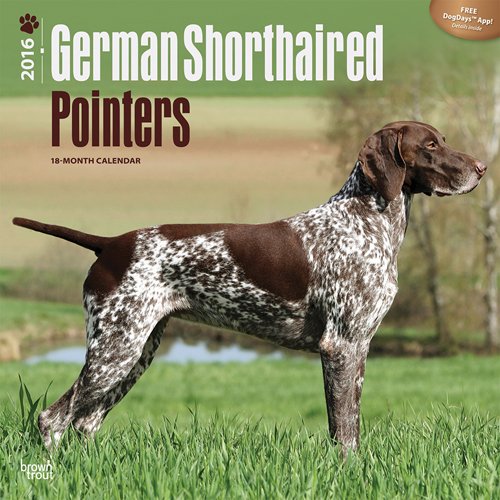 German Shorthaired Pointers 2016 Square 12x12