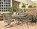 Biscayne Rust Bronze Dining Arm Chair Pair by Home Styles
