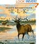 Teddy Roosevelt's Elk