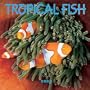 Tropical Fish 2002 Wall Calendar