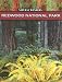 Natural Wonders, Redwood National Park: Forest of Giants