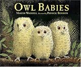 Owl Babies Big Book