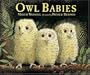 Owl Babies Big Book
