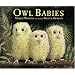 Owl Babies Big Book
