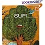 Sufi: Expressions of the Mystic Quest (Art and Imagination)