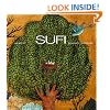 Sufi: Expressions of the Mystic Quest (Art and Imagination)